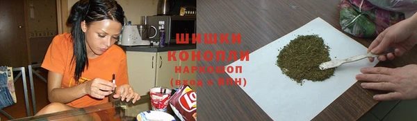 индика Нягань
