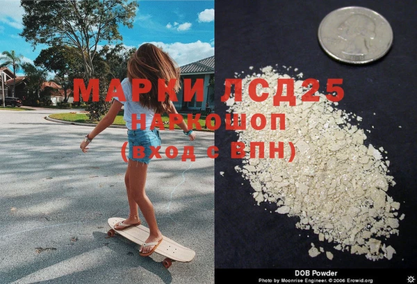 винт Алзамай