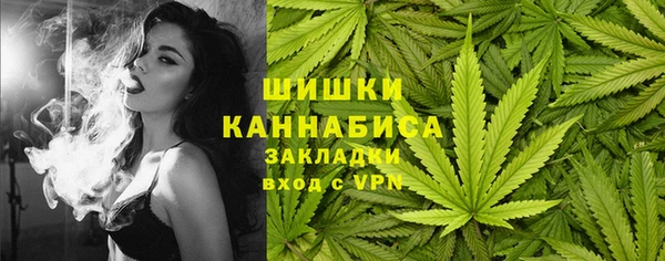 ГАЛЛЮЦИНОГЕННЫЕ ГРИБЫ Нязепетровск