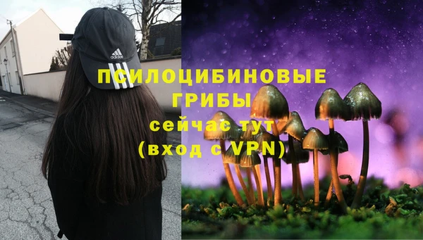 гидра Фёдоровский