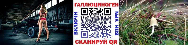 сколько стоит  Карачев  Галлюциногенные грибы Psilocybine cubensis 